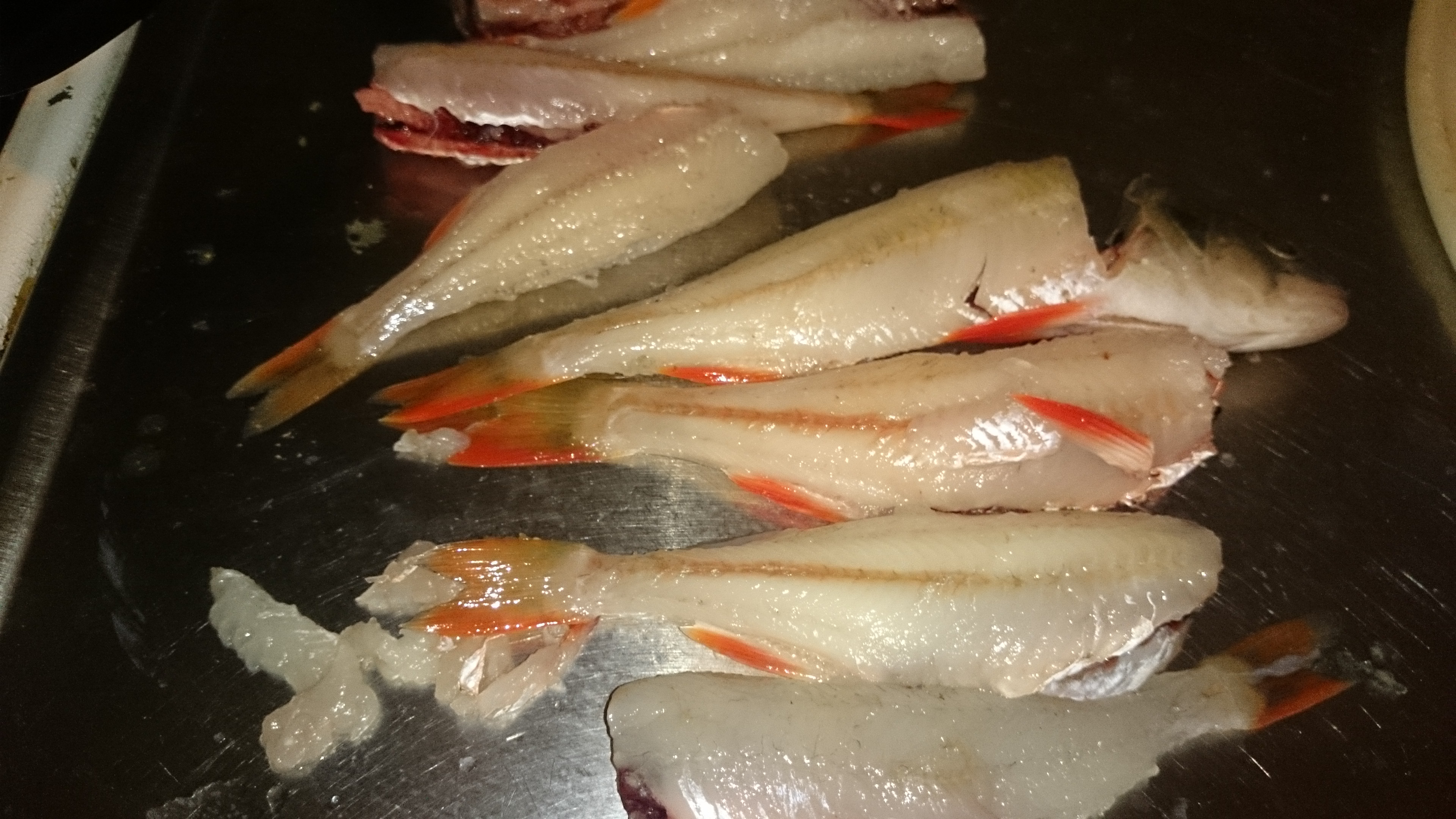 🍽️ Питание